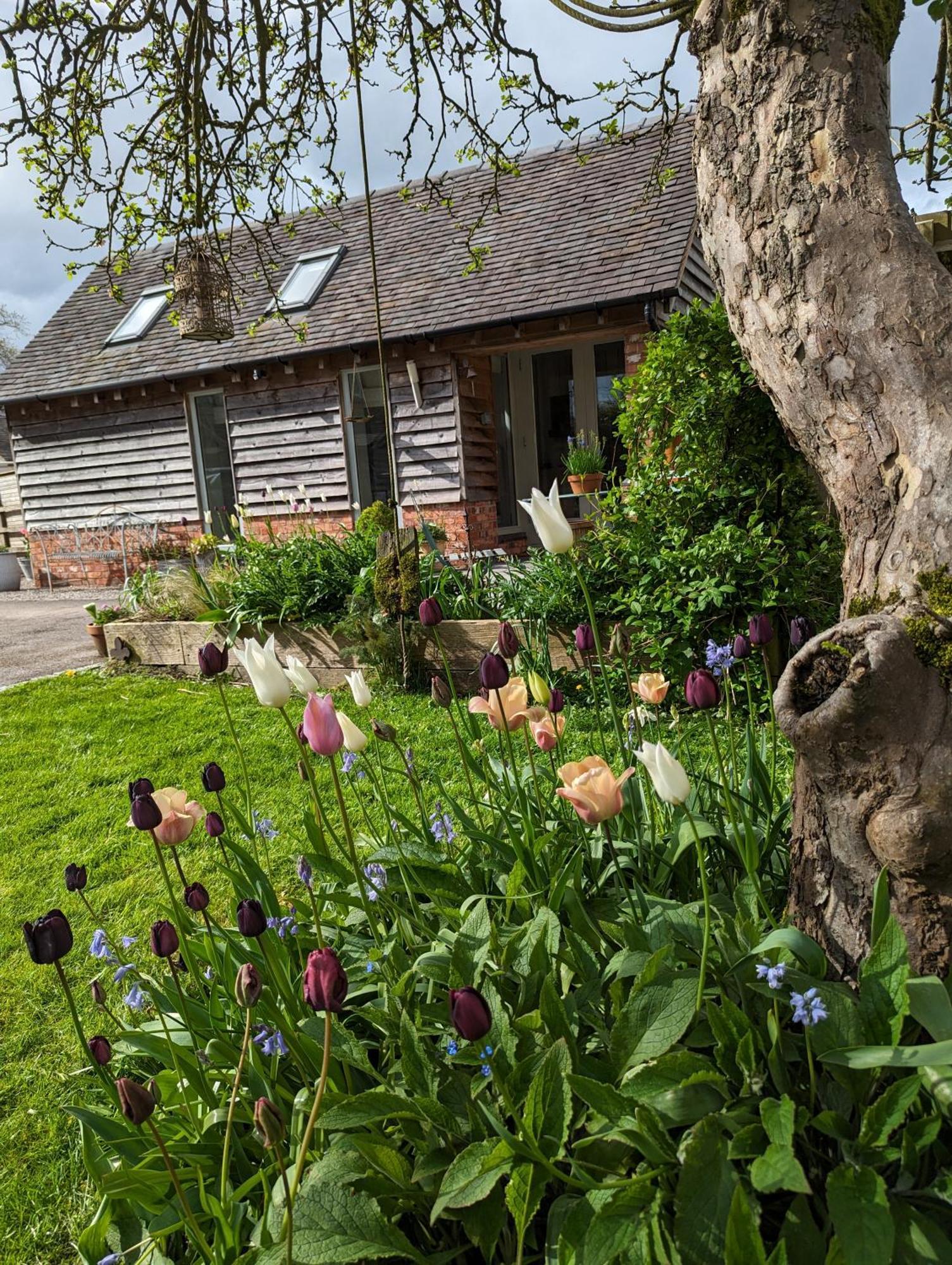 The Dorm Bed And Breakfast Eccleshall Luaran gambar