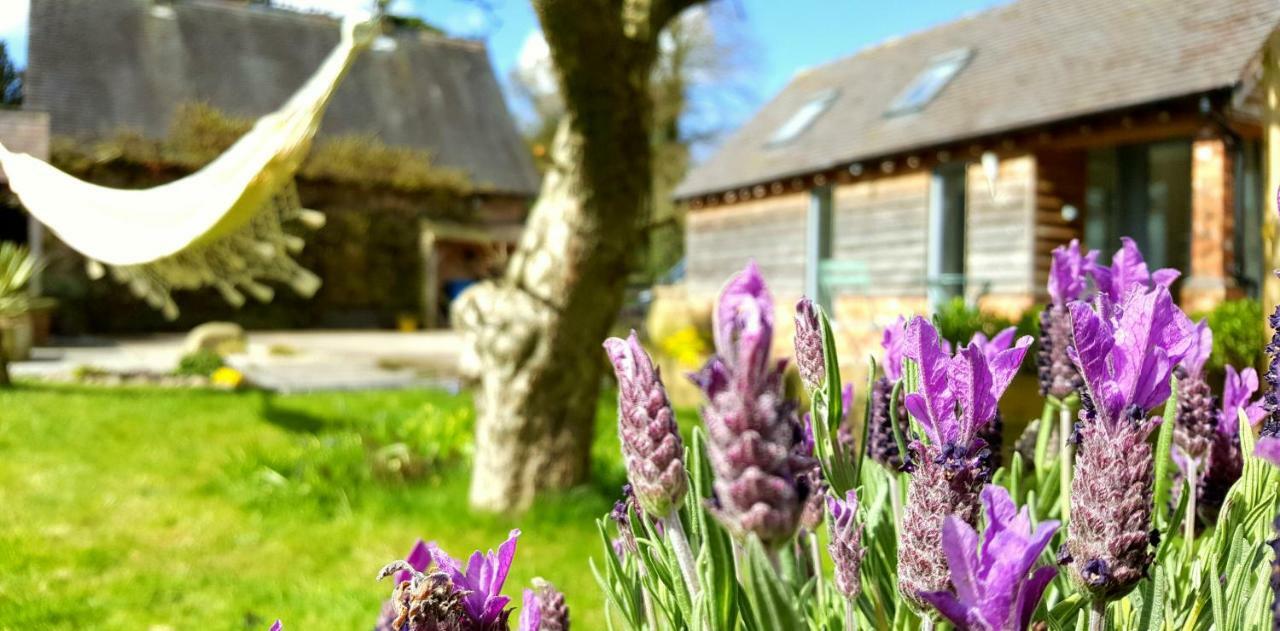 The Dorm Bed And Breakfast Eccleshall Luaran gambar